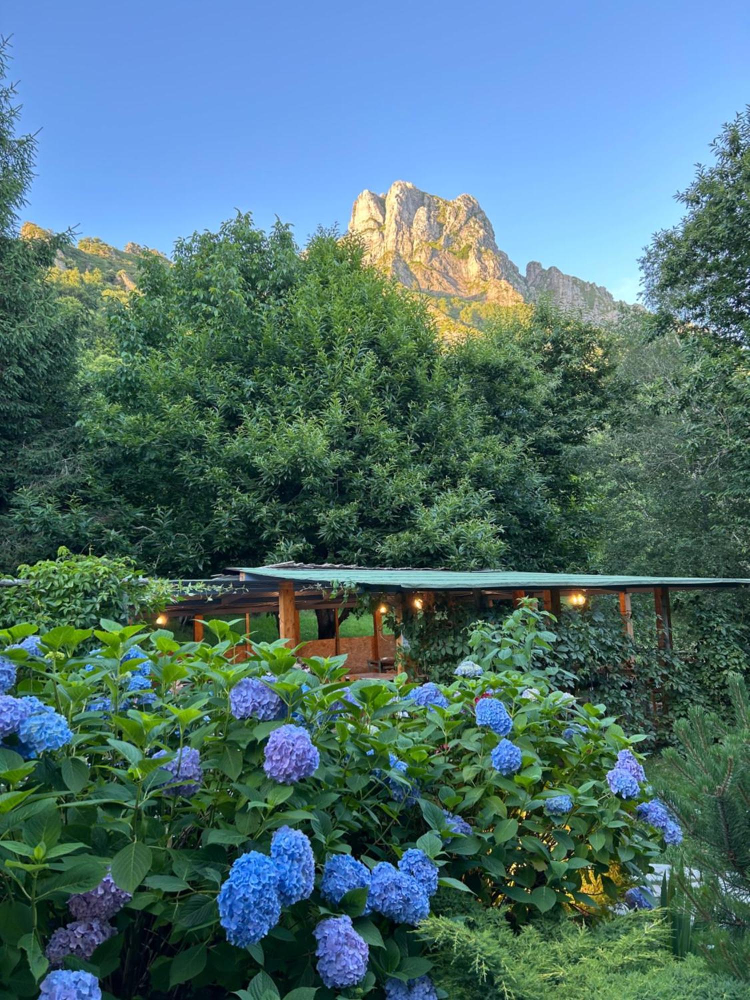 Art Hotel Пьетразанта Экстерьер фото