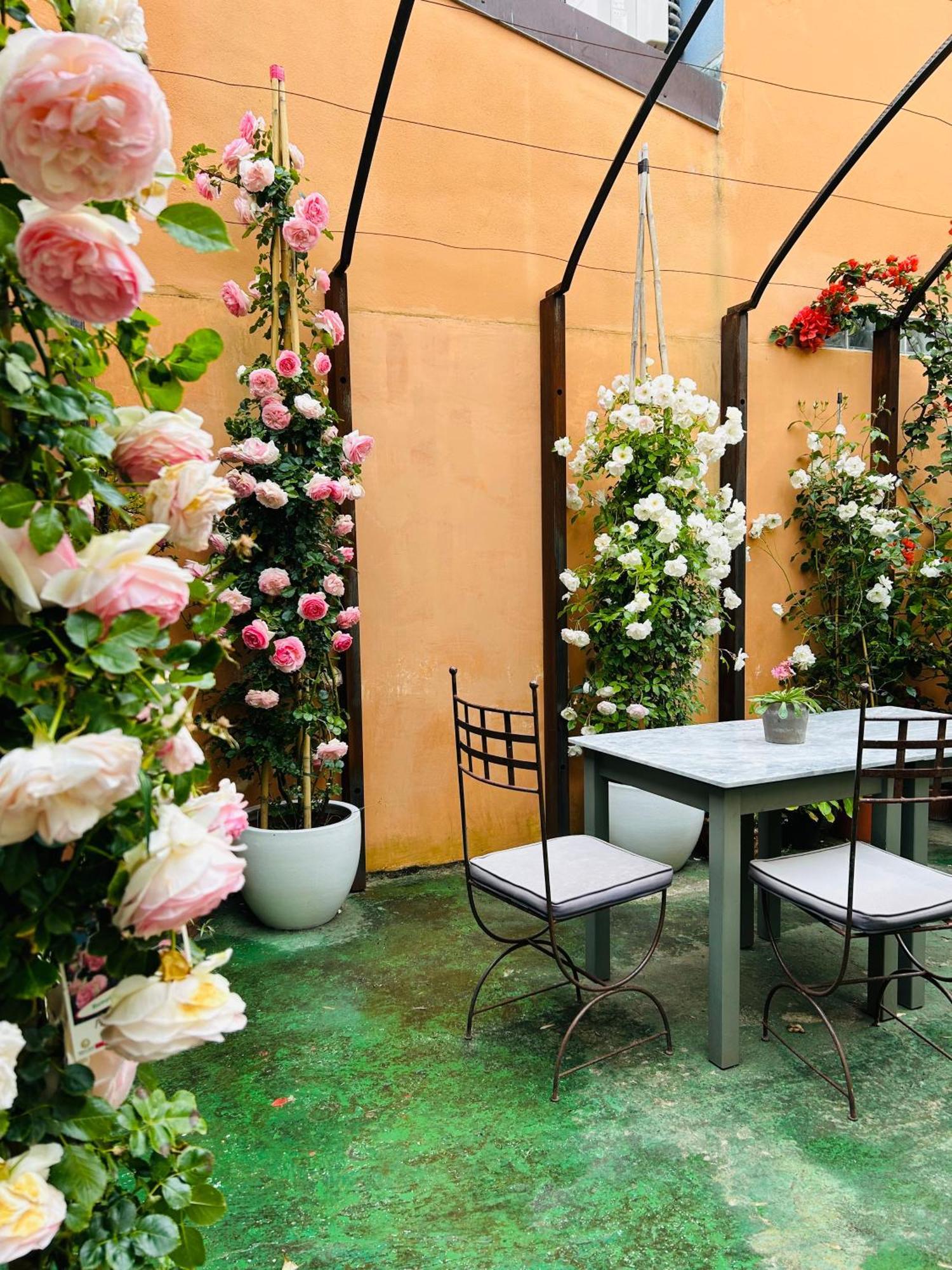 Art Hotel Пьетразанта Экстерьер фото